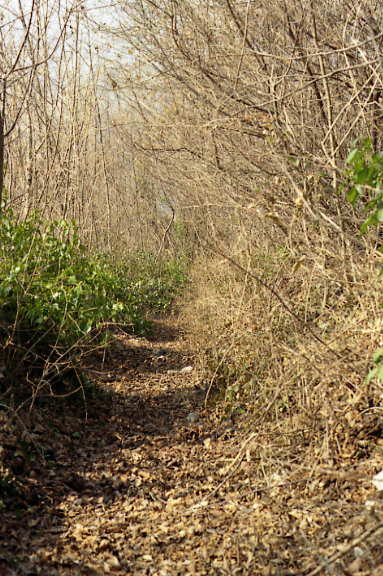 Strada del Patriarca